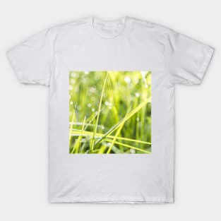 SCENERY 71 - Green Grass Field Outdoor Land Meadow T-Shirt